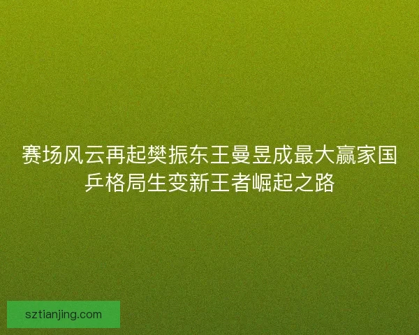 赛场风云再起樊振东王曼昱成最大赢家国乒格局生变新王者崛起之路